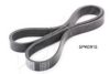 ASHIKA 112-5PK915 V-Ribbed Belts